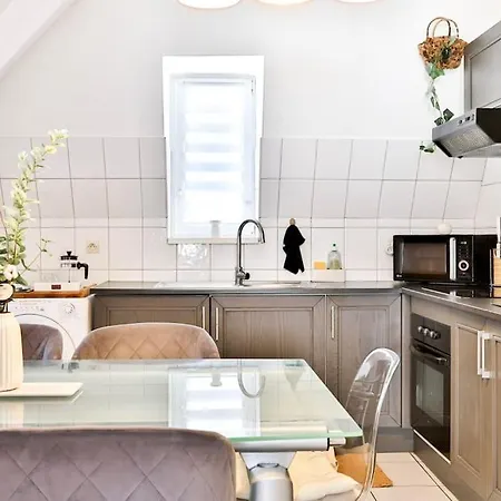 Le Clooney - Appartement En Duplex - Hyper Centre Mulhouse Exterior photo