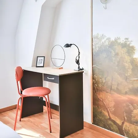 Le Clooney - Appartement En Duplex - Hyper Centre Mulhouse Exterior photo