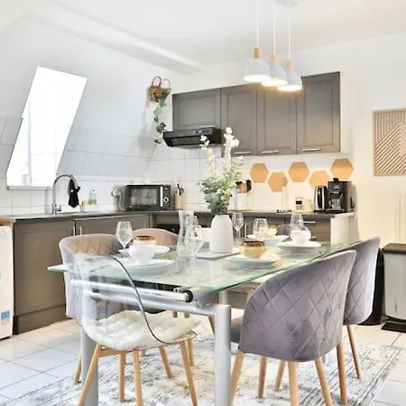 Le Clooney - Appartement En Duplex - Hyper Centre Mulhouse Exterior photo